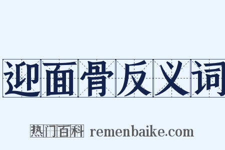 迎面骨反义词是什么意思的图片